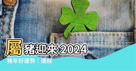 豬年運程2024|2024屬豬幾歲、2024屬豬運勢、屬豬幸運色、財位、禁忌